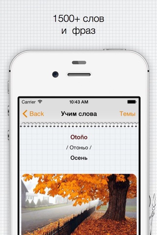 Испанский? ОК! screenshot 2