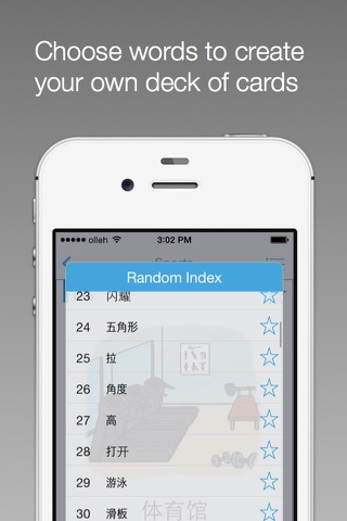 Wordpage Chinese 03 screenshot 4