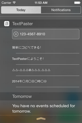 TextPaster - simple copy & past - screenshot 2