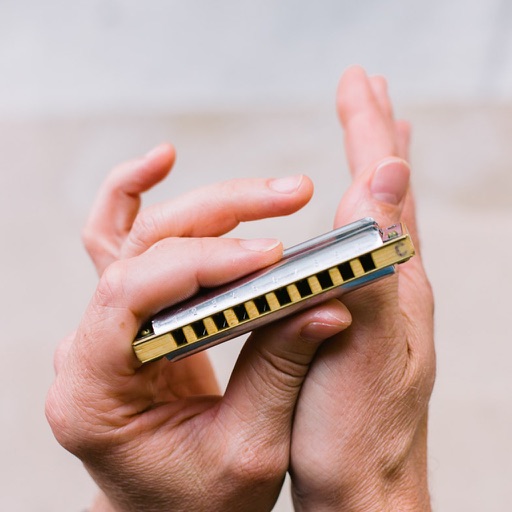 Harmonica Master Class icon