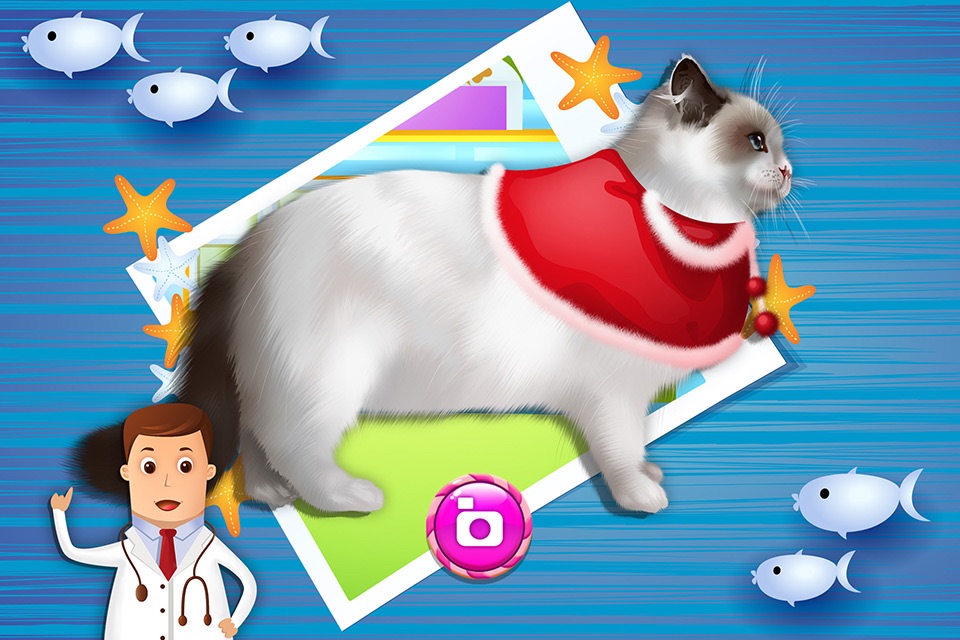 Pet Vet Doctor: Cats & Dogs Rescue - Free Kids Game screenshot 4