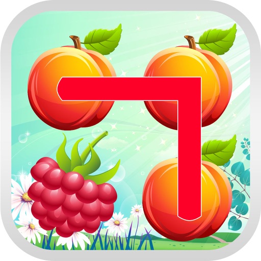 Two Fruits Icon