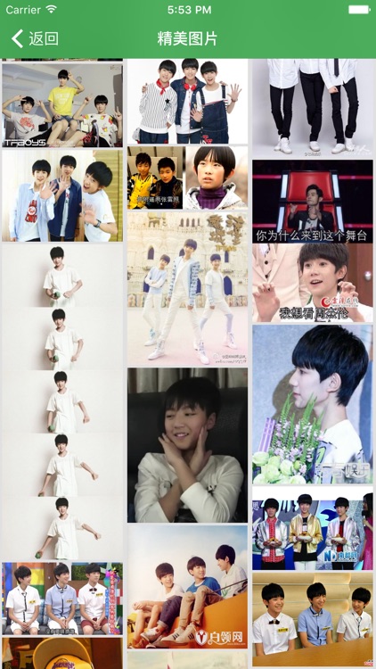 四叶草 for tfboys