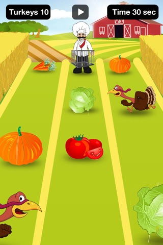 Turkey Fest Game screenshot 3