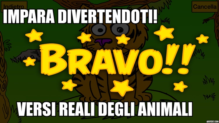 Colora Gli Animali screenshot-3