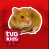 TVOKids Tumbleweed's Yard Sale