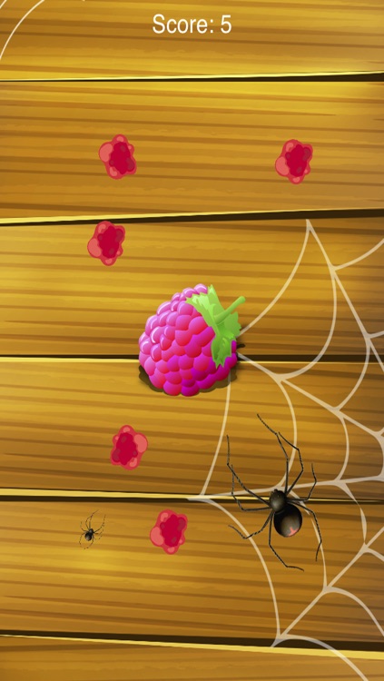 Attack of the Spider! Insect Smasher Game for Children