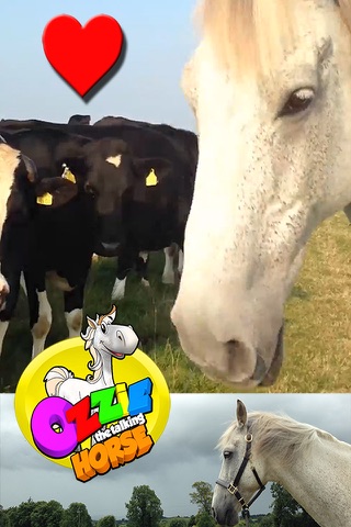 Sing with Ozzie the Talking Horse FREE - Funny Pet Videos and Songs screenshot 4