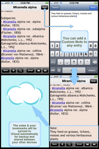 The Grasshoppers & Crickets Encyclopedia screenshot 4