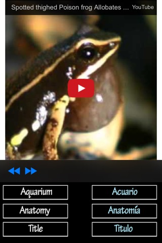 Life Cycle of a Frog screenshot 3