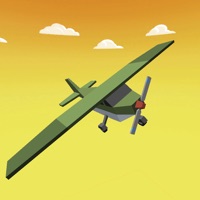 Mini Plane Flying