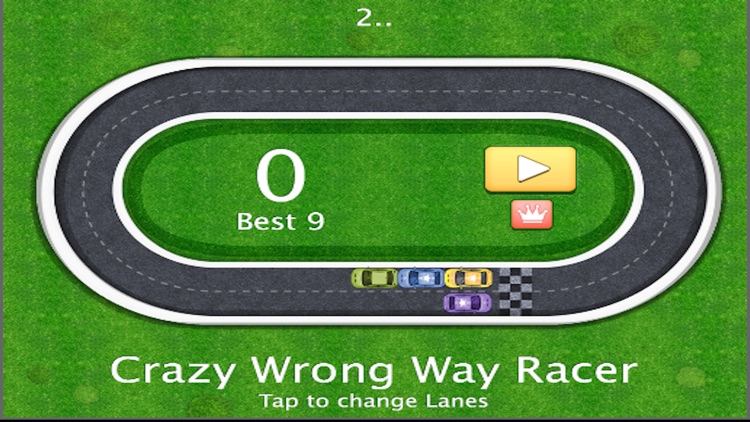 Crazy Wrong Way Racer
