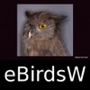 Birds of the World - eBirdsW - A Bird App