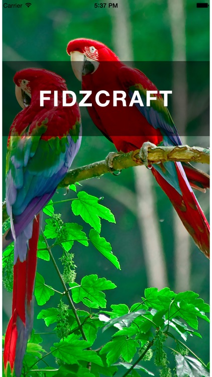 FIDZCRAFT