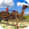 Camel Cart Rider