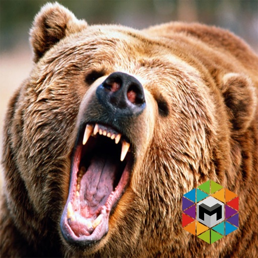 Bear Simulator icon