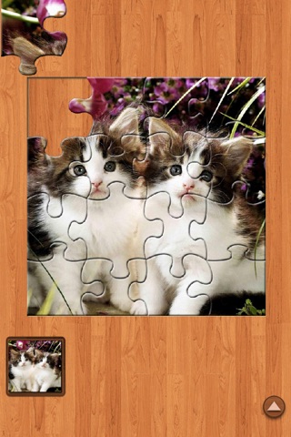 Jigsaw PUZ screenshot 3