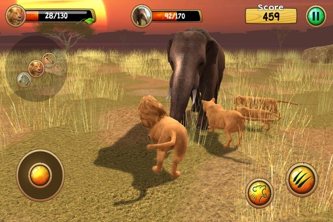 Wild Lion Simulator 3D screenshot 4