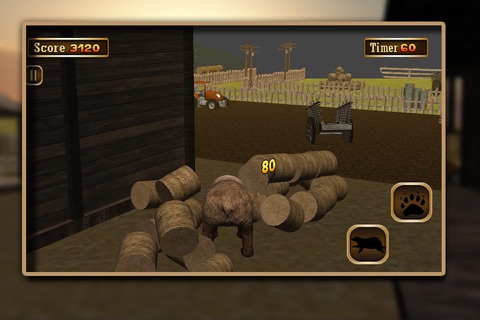 3D Bear Simulator – wild adventure simulation game screenshot 3