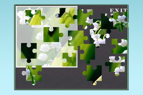 A Flower Puzzle Game screenshot 4