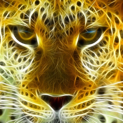 Amazing Leopards Wallpapers