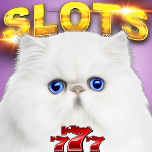 Casino Cash Cats iOS App