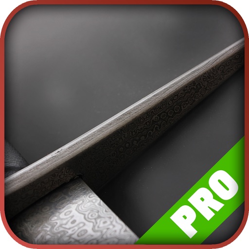 Game Pro - The Last Remnant Version icon