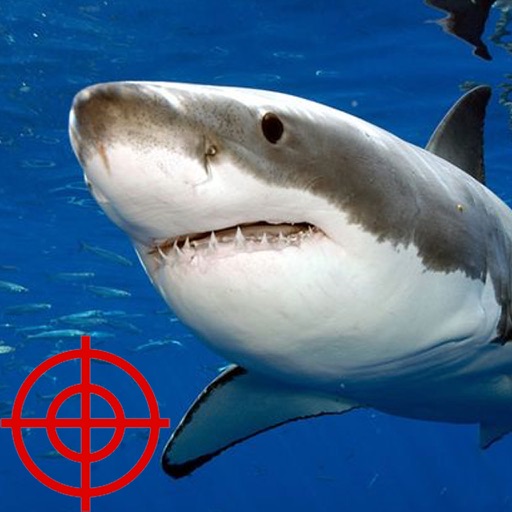 Shark Hunt 2015 iOS App