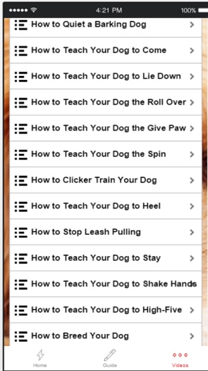 Dog Obedience Training - Learn How to Train Your Dog(圖4)-速報App