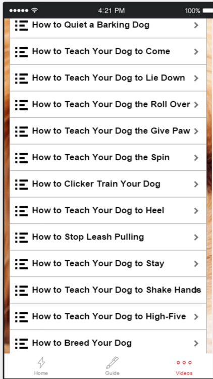 Dog Obedience Training - Learn How to Train Your Dog screenshot-3