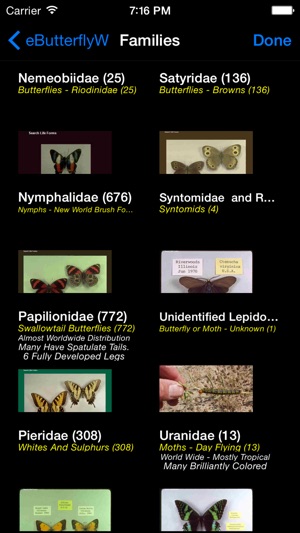 Butterflies of the World - A Butterfly App(圖2)-速報App