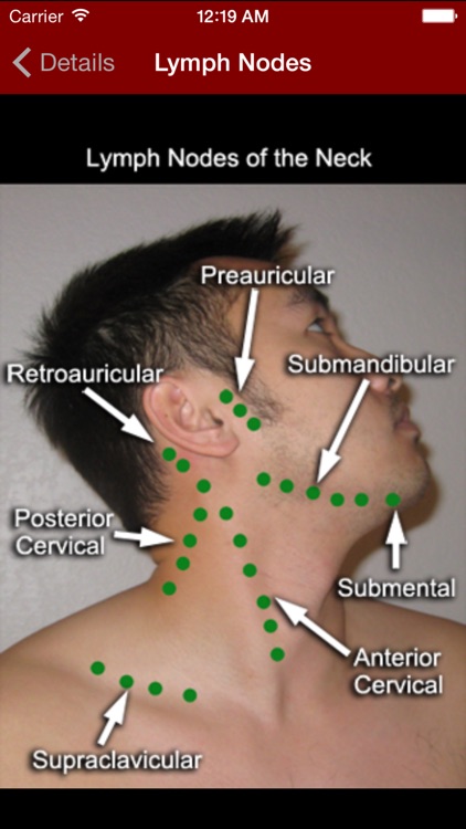 Physical Exam Essentials screenshot-4