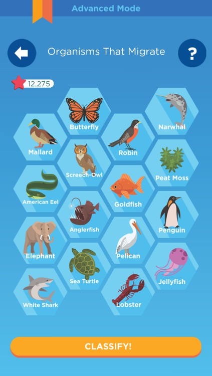 Classify It!