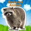 Backyard Animal Safari - Video Flashcard Player