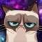 Grumpy Cat - Funny Memes, Videos, Games and More for Kids!