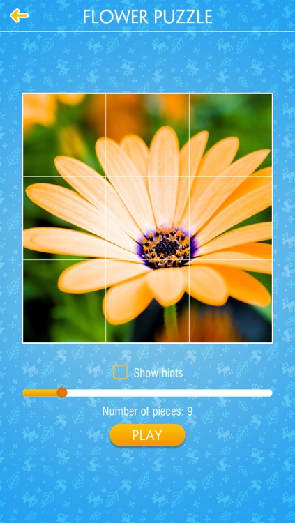 Jigsaw Puzzle - Flower