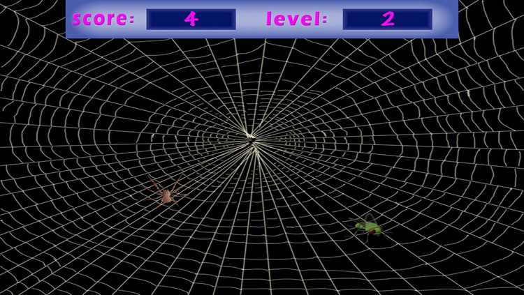 3D Spider Catch - Challange Your Speed Skills