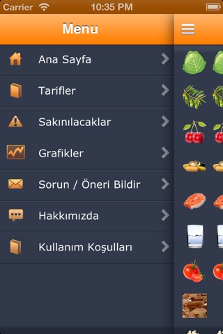 Doğurganlık Beslenmesi screenshot 2