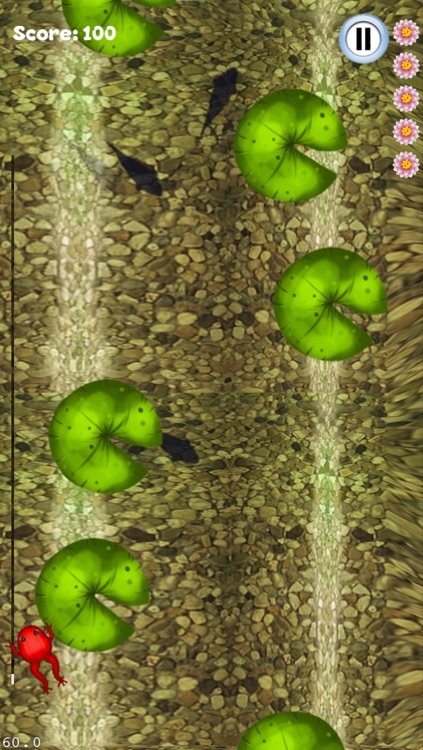 Frog Frogs Escape Pad Jump screenshot-3