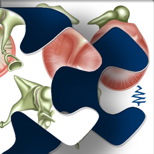 Middle Ear DnD