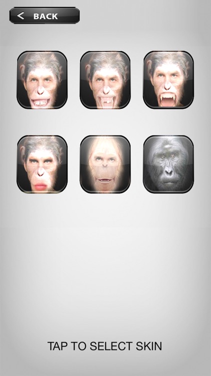 MonkeyBooth - Morphing faces into an ape, monkey or chimp