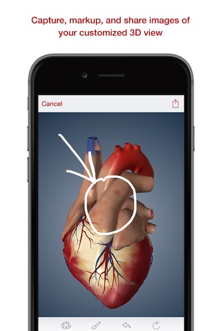 BioDigital Human: 3D Anatomy Explorer screenshot 3
