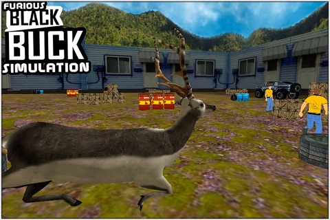 Furious Black Buck Simulation screenshot 3