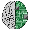 Quad-Core Brain