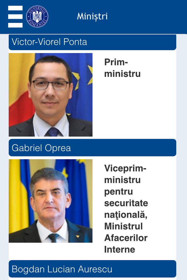 Guvernul României screenshot 2
