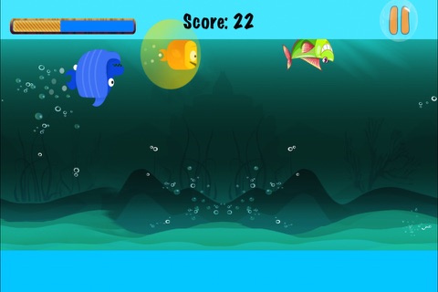 Catch the Fish - Underwater Animal Chasing Rush screenshot 3