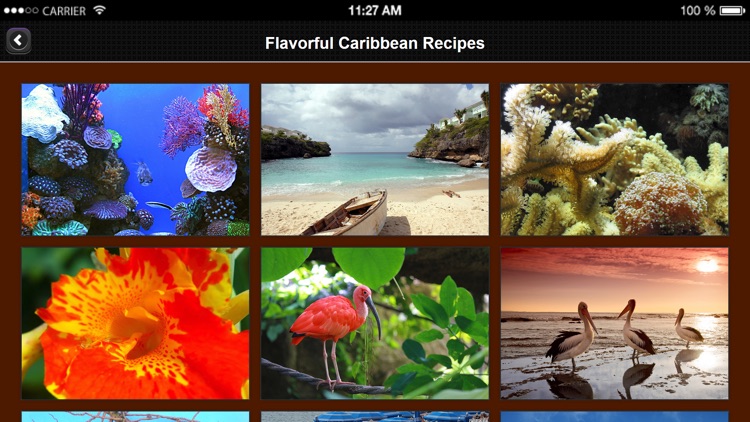 Caribbean Recipes from Flavorful Apps® screenshot-3