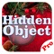 Hidden Object - Christmas 2015 Pro