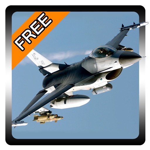 Air Strike Forever 3D Simulator Free Icon