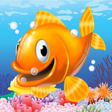 Activities of Funny Fish Games and Photos